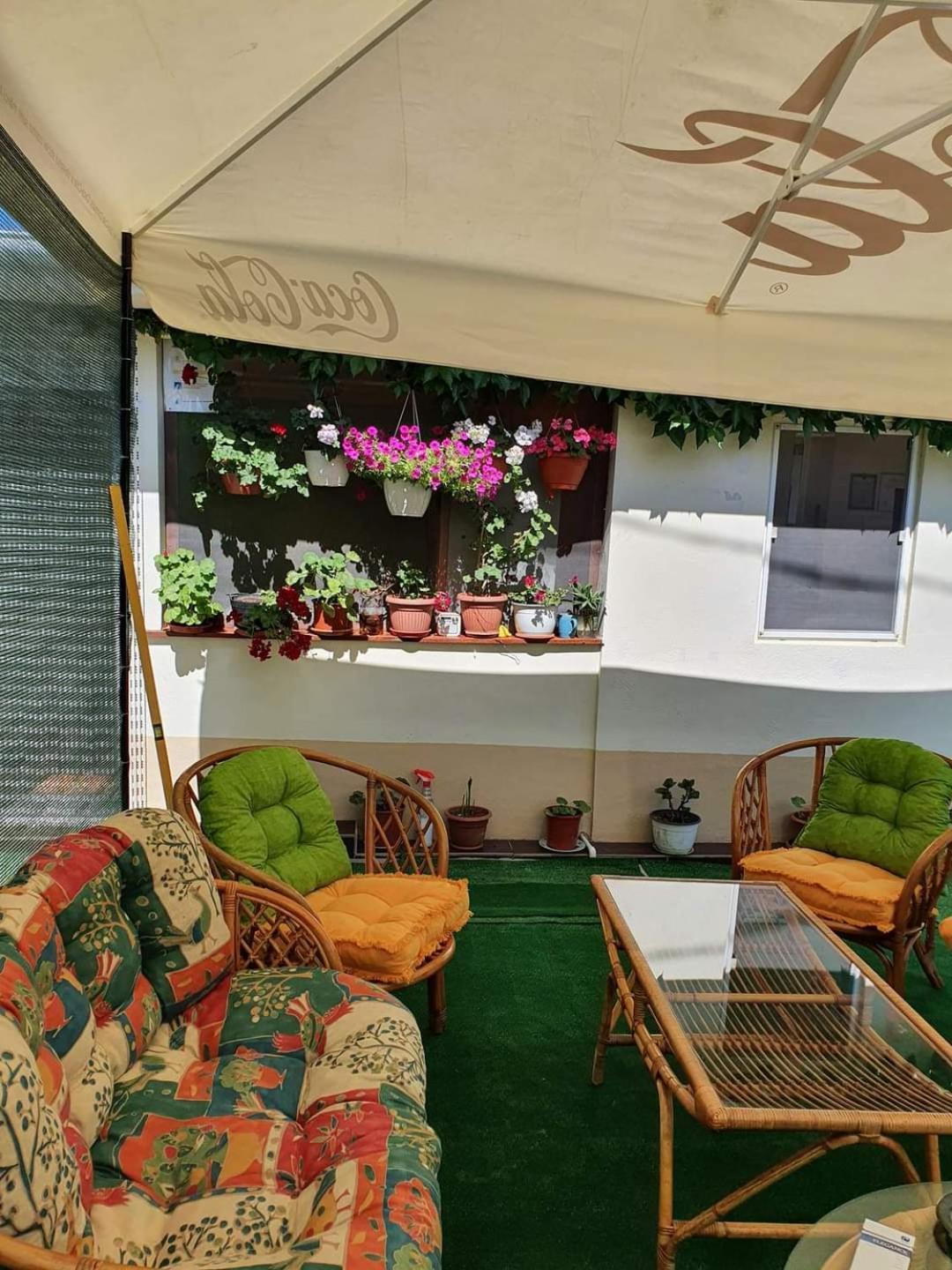 Vila Robert Hotel Schitu Eksteriør billede